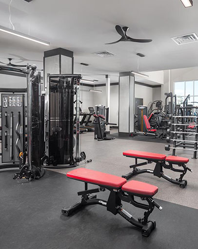 Gym with weight lifting equipment