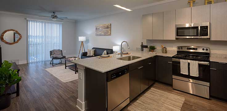 Apartment Kitchen Counter